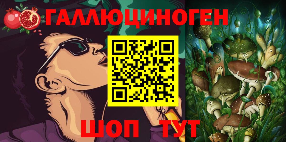 Галлюциногенные грибы Cubensis  Галлюциногенные грибы GOLDEN TEACHER  Вход с VPN  Тулун 